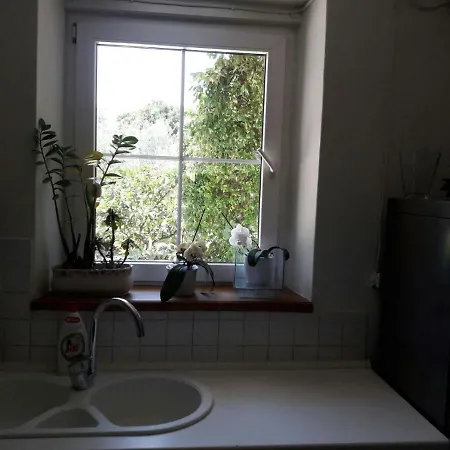 Apartment Hela *